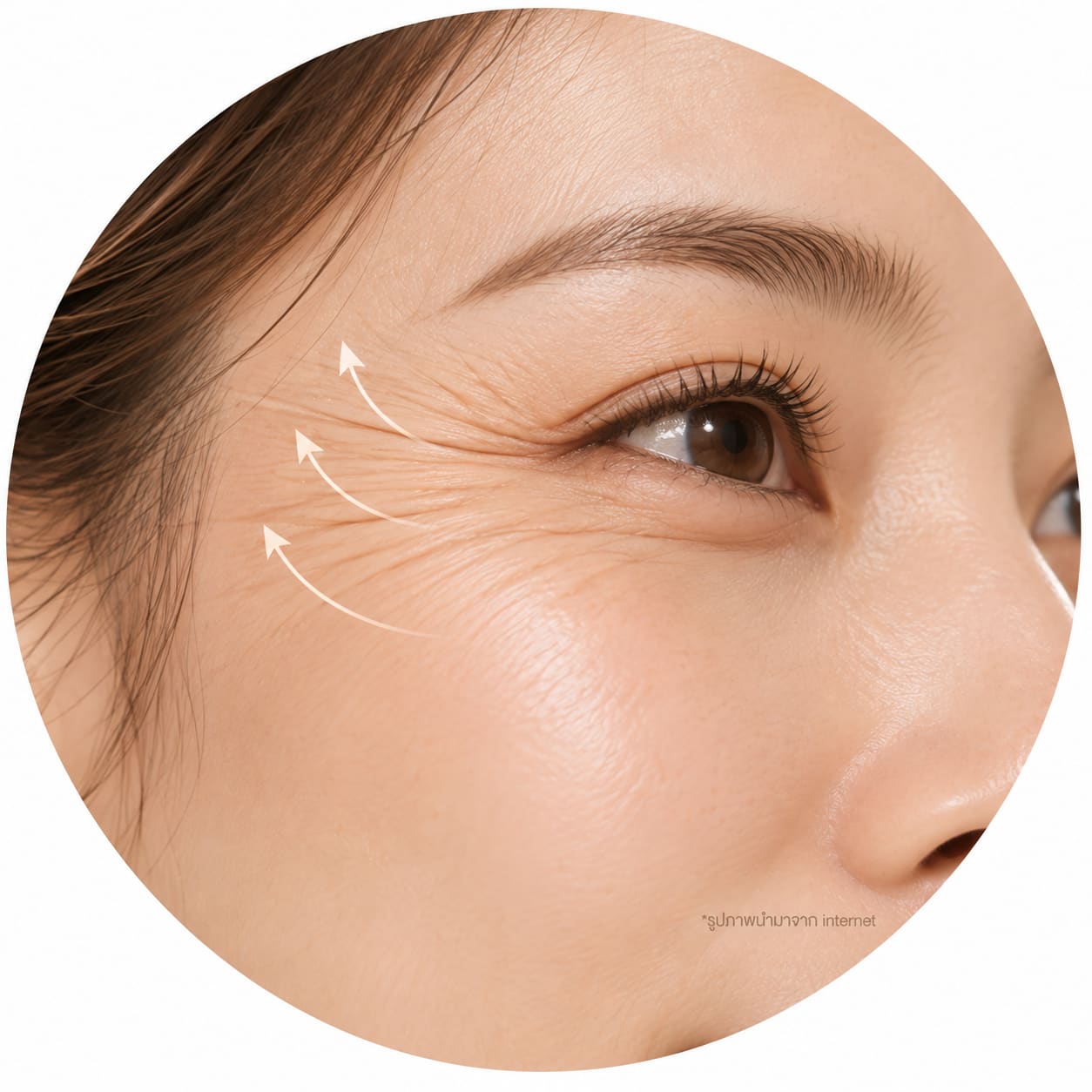 Program Wrinkles & Facial Movement