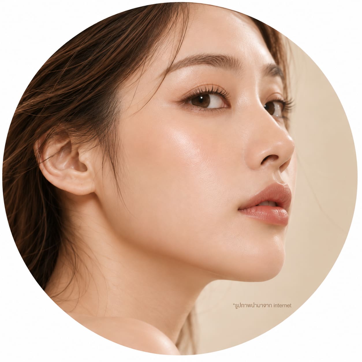 Program Facial Contouring
